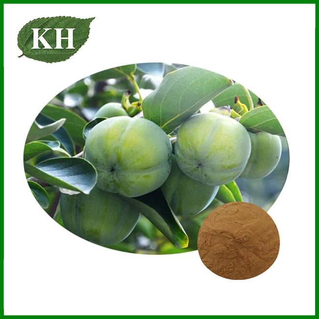 Green Persimmon Fruit Extract